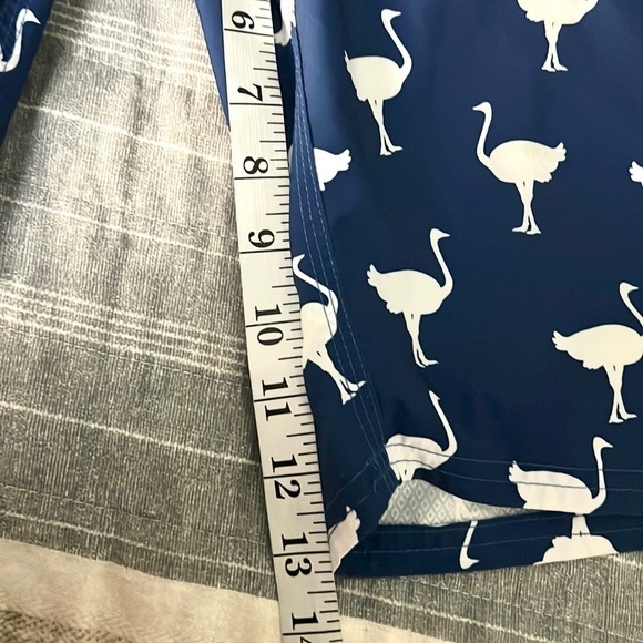 ⭐️Chivery,Chive-On,Swim Trunks, Excellent Condition,Fantastic Bird Print,Size 36 - Picture 8 of 9